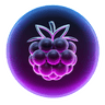 Berry VPN Logo